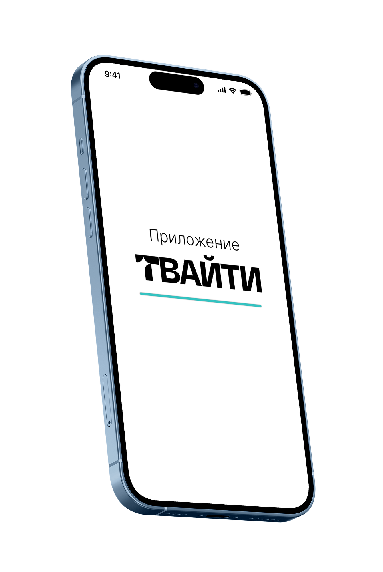 ТВАЙТИ App Interface